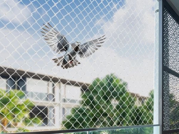 Bird Netting Service