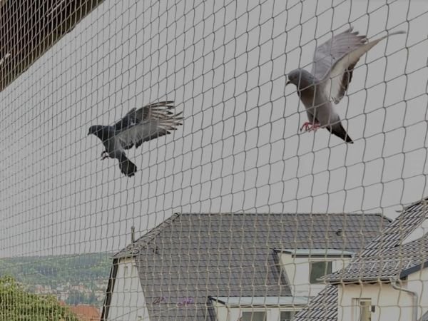 Why Choose Yash Bird Netting